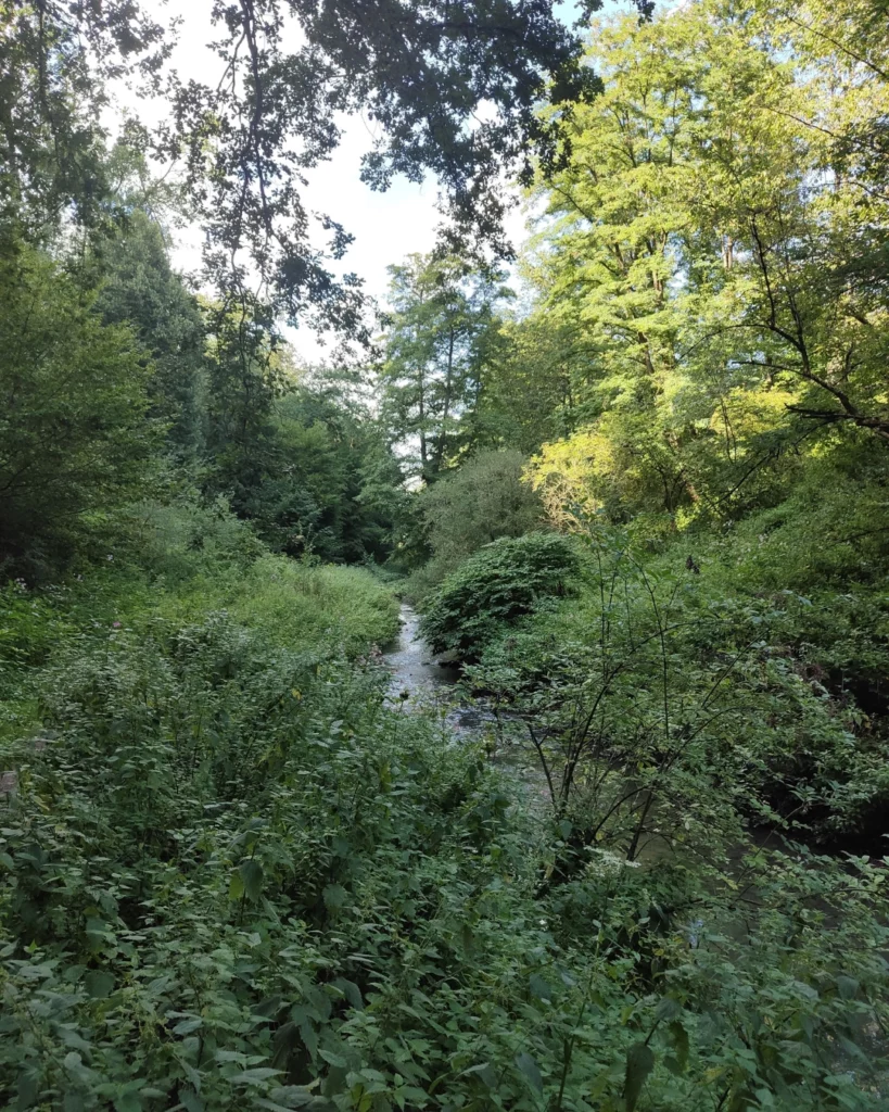 Mairie Etzling - Foret ruisseau